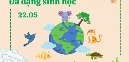 Hưởng ứng Ngày quốc tế đa dạng sinh học năm 2025 “Đa dạng sinh học - Giá trị cuộc sống từ thiên nhiên” Hưởng ứng Ngày quốc tế đa dạng sinh học năm 2025 “Đa dạng sinh học - Giá trị cuộc sống từ thiên nhiên”