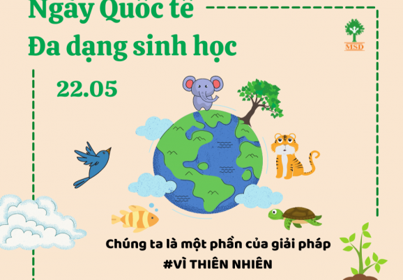 Hưởng ứng Ngày quốc tế đa dạng sinh học năm 2025 “Đa dạng sinh học - Giá trị cuộc sống từ thiên nhiên” Hưởng ứng Ngày quốc tế đa dạng sinh học năm 2025 “Đa dạng sinh học - Giá trị cuộc sống từ thiên nhiên”